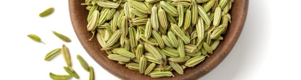 USE OF FENNEL SEEDS IN AYURVEDA