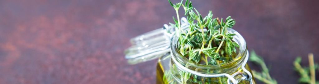 Top Benefits of Thyme