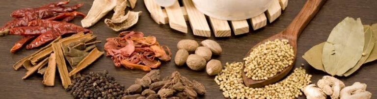 AYURVEDA FOR GASTROINTESTINAL HEALTH
